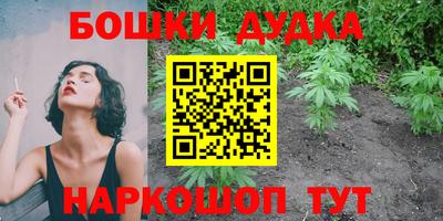 прущие крисы Ставрополь