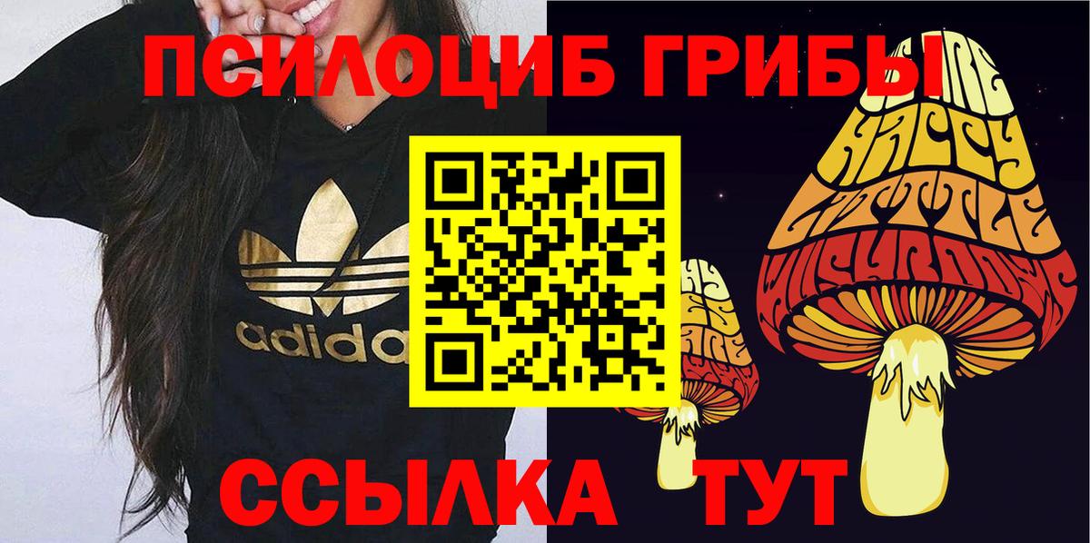 Псилоцибиновые грибы мицелий Норильск